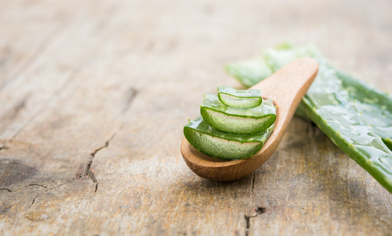 Aloe Vera 
